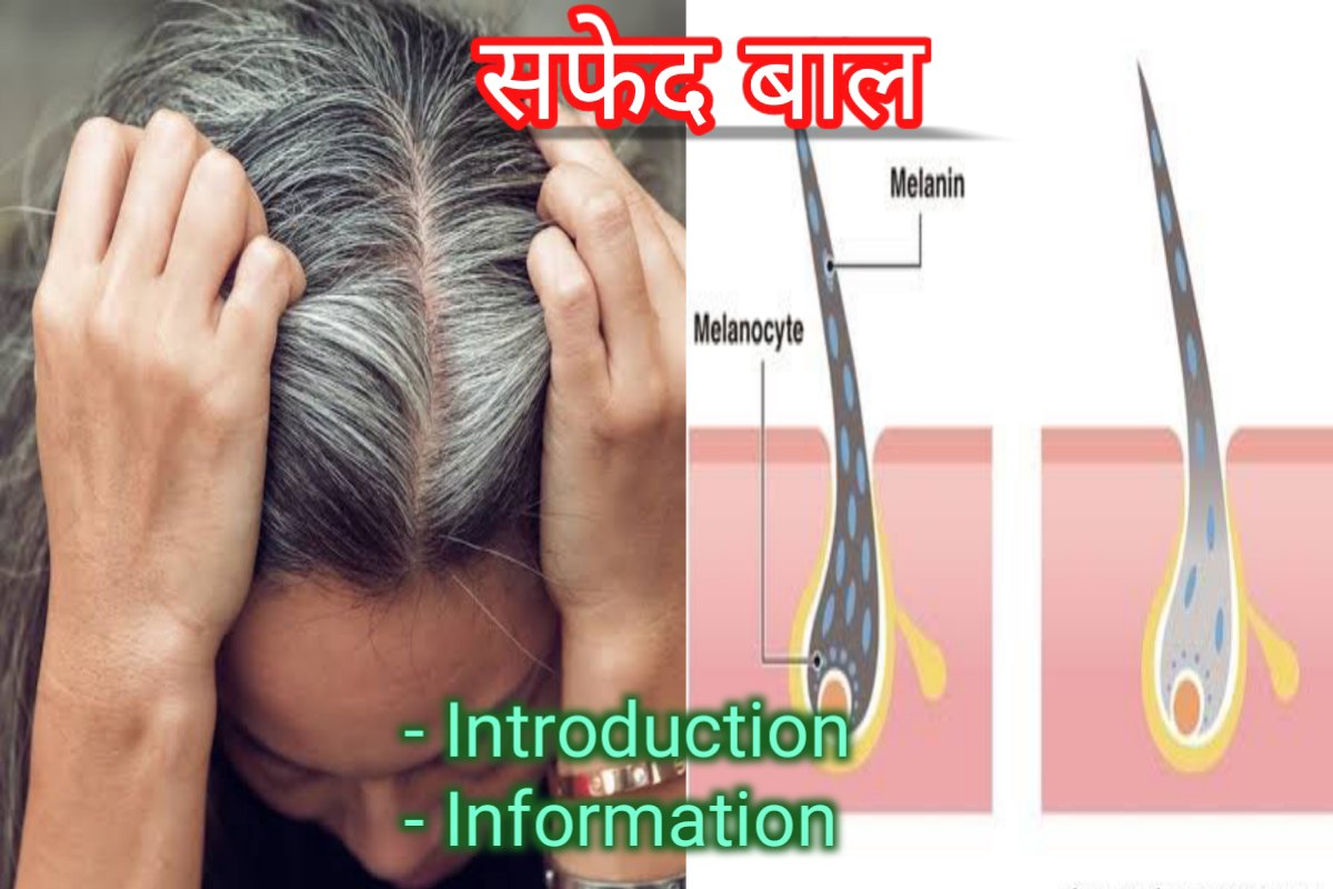 safed bal jankaari images | white hair information images |