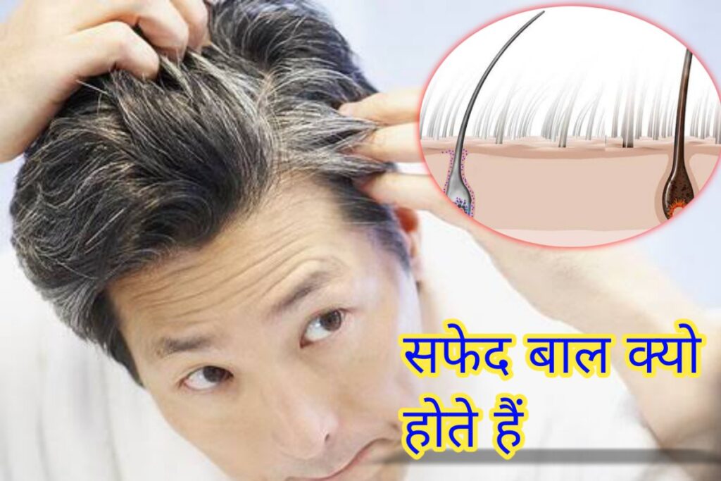 safed bal kyo hote hai images | what is white hair images |