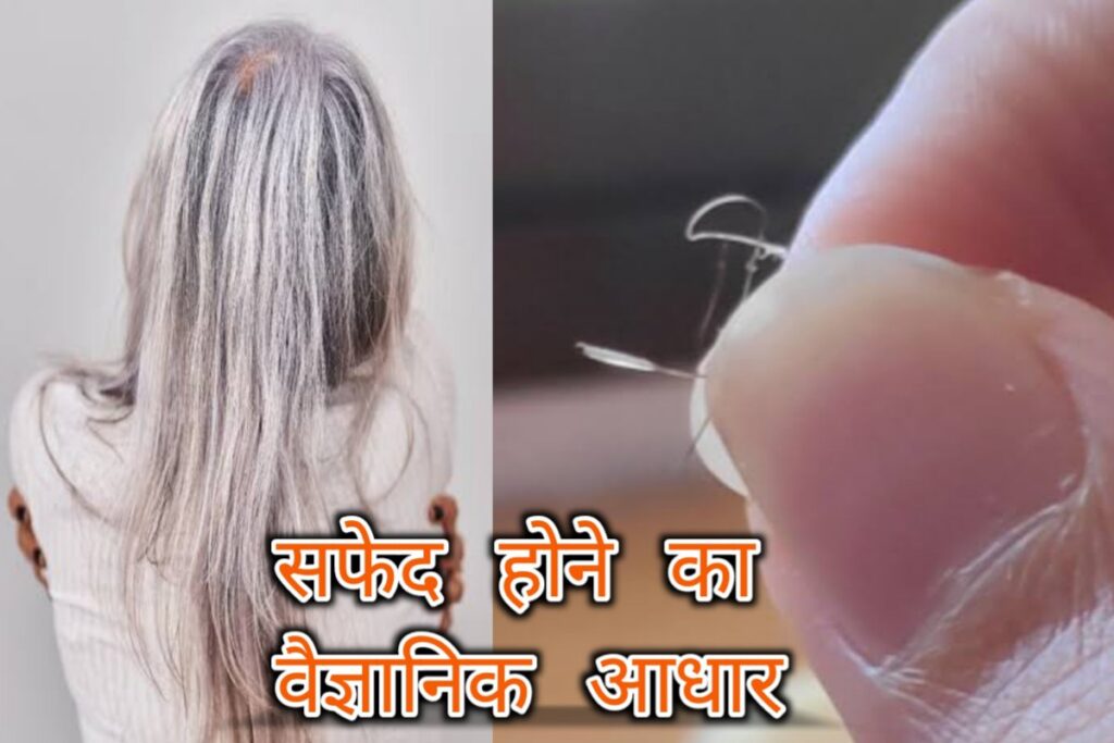 safed bal science reason images | white hair science reason images |
