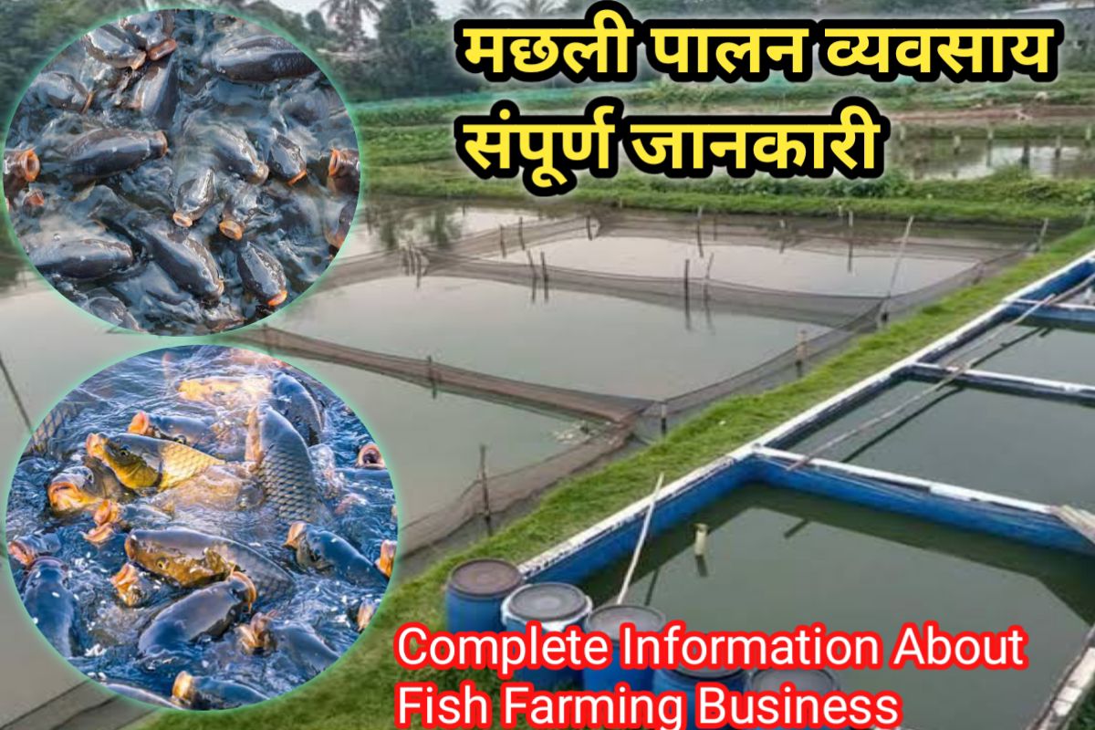 machali palan vyavsay images | fish farming bussiness images |