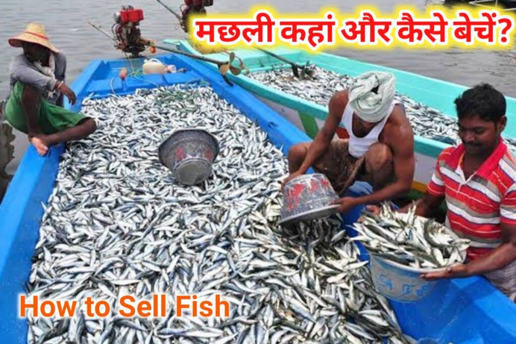 how to sall fish images | machali kaha bheche images |
