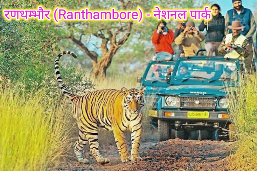 रनथम्भोर नेशनल पार्क इमेज। ranathmbhor national park image