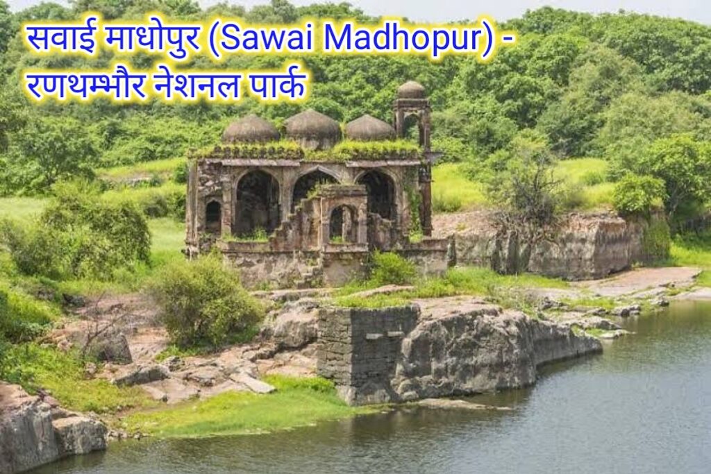 सवाई माधोपुर टेंपल इमेज। savai madhopur temple image