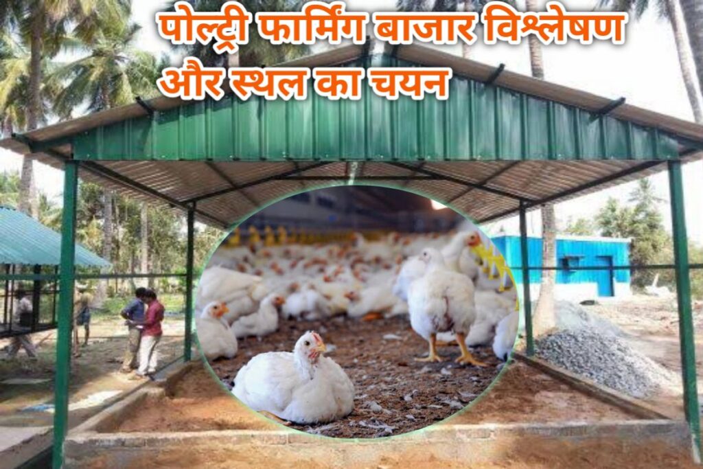 poultry farming bussiness places selection images | murgi palan jagah ka chayan images |