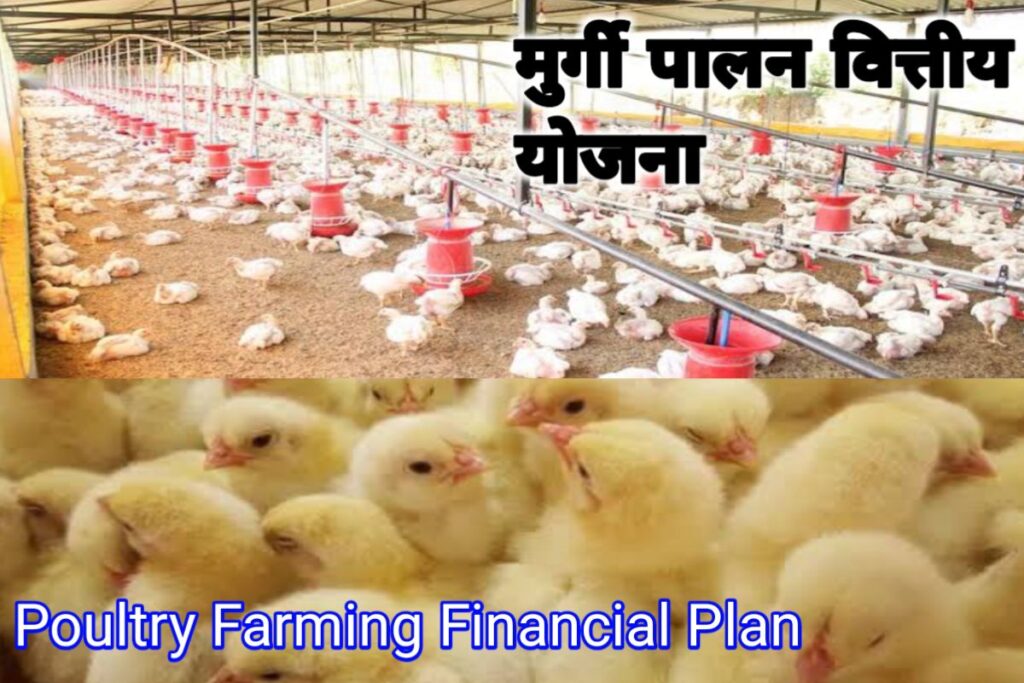 murgi palan vittiy yojna images | poultry farming financial plan images |