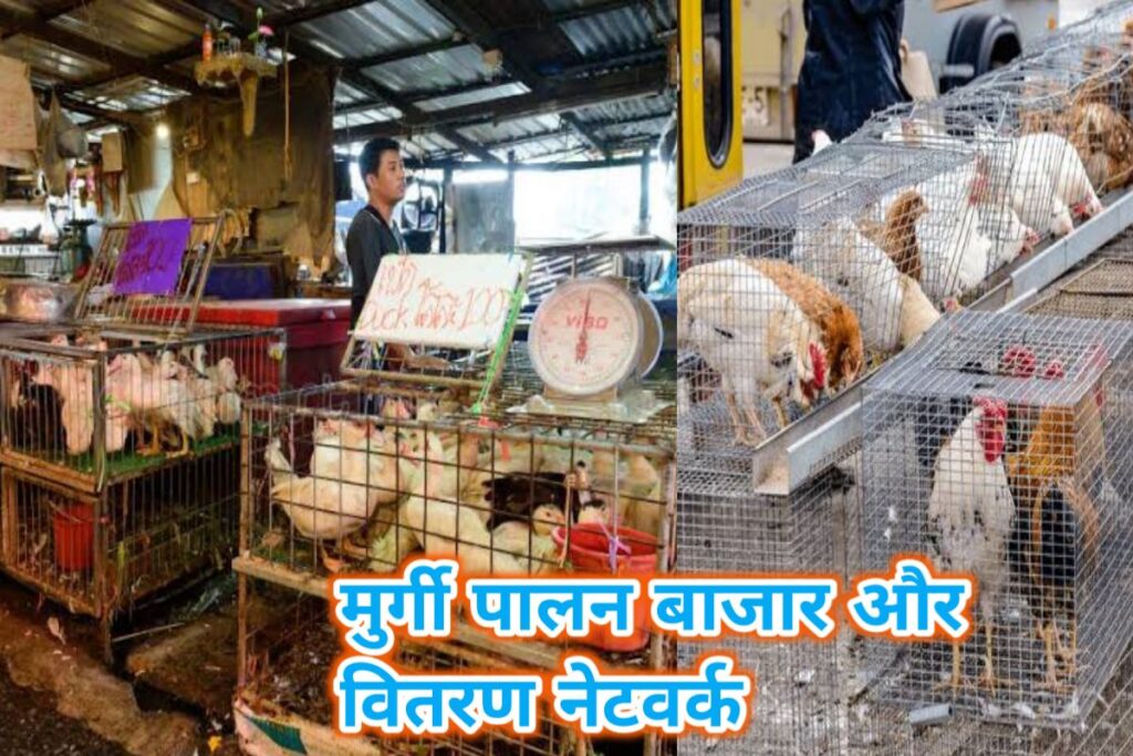 murgi palan market images | murgi palan network images |