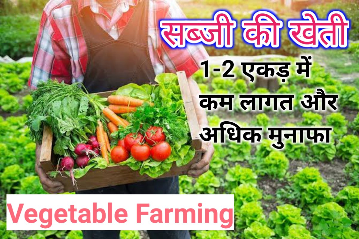 sabji kheti images | vegetable farming images |
