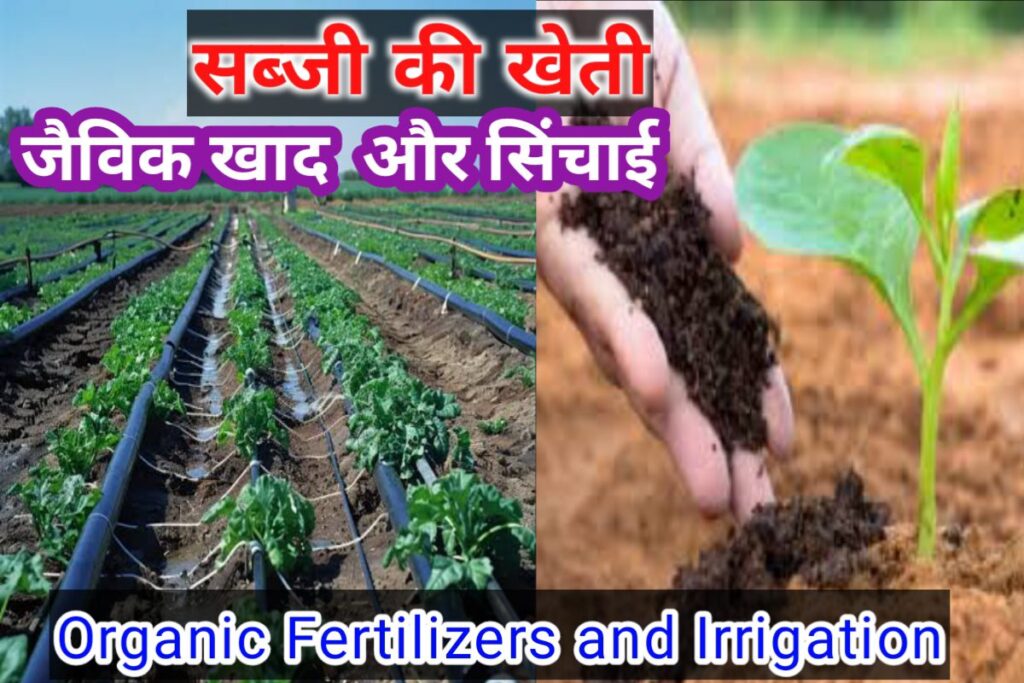 sabji kheti jaivik khad images | organic fertilizers images |