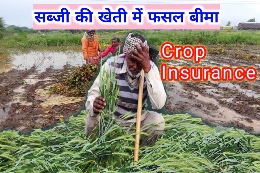 sabji ki kheti fasal bima images | crop insurance images |